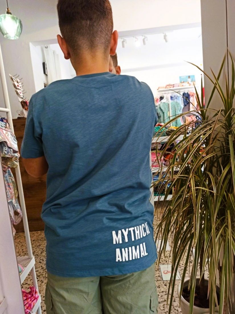 Μπλούζα κοντομάνικη με print mythical animal πετρόλ