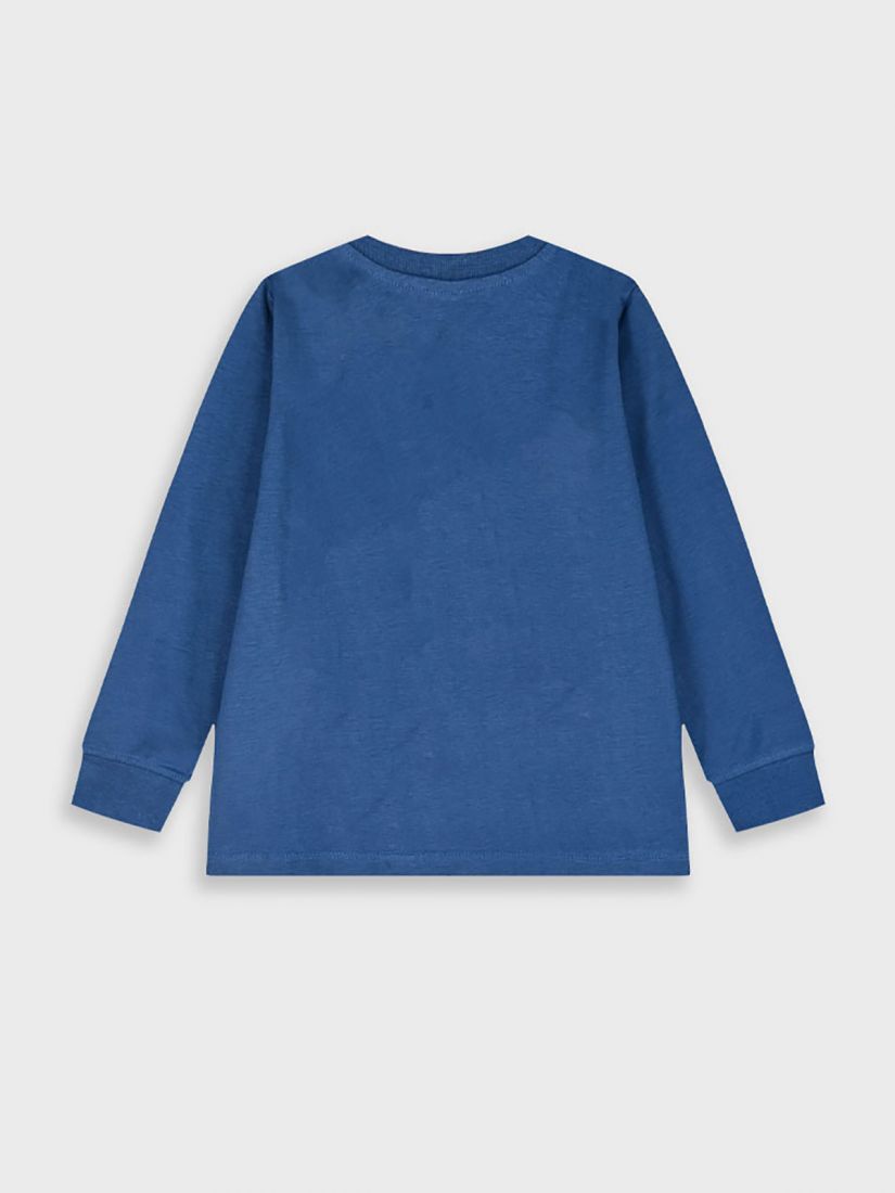 Μπλούζα βαμβακερή μακρυμάνικη με print be green μπλε