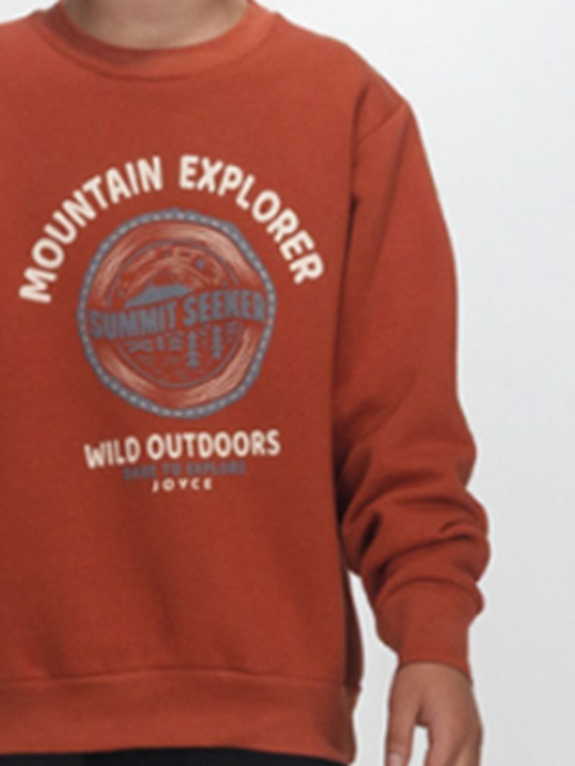 Μπλούζα φούτερ με επένδυση και print Mountain Explorer εκάι