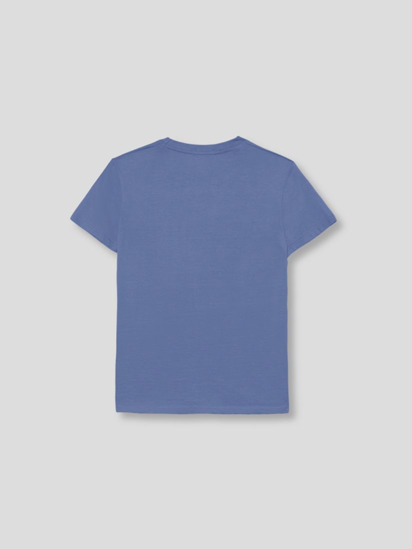 Μπλούζα κοντομάνικη με print street monkey original αγόρι μεγάλο μπλε