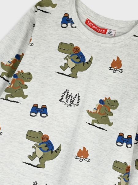 Μπλούζα μακρυμάνικη dinosaur go camping γκρι