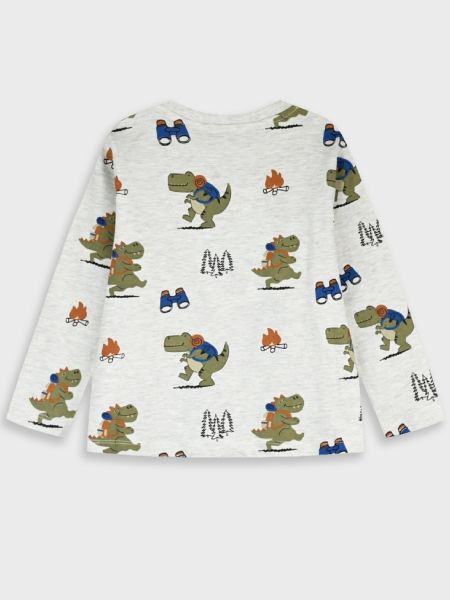 Μπλούζα μακρυμάνικη dinosaur go camping γκρι
